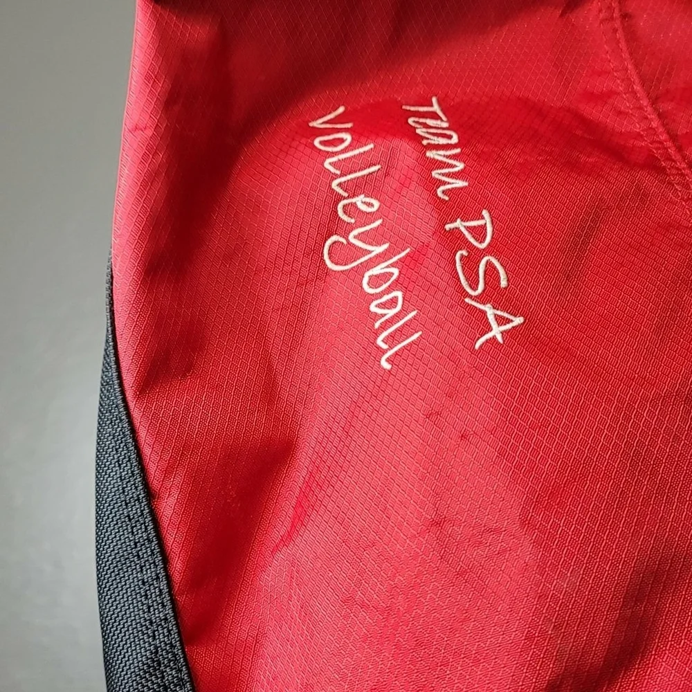Mizuno premier bat
